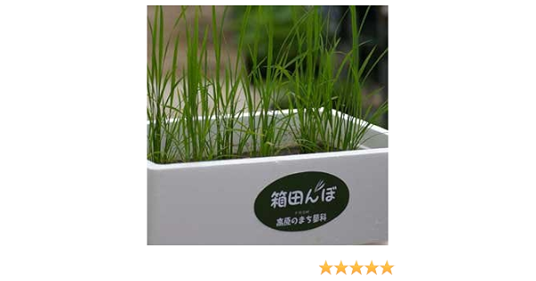 Amazon Co Jp ロイヤルガストロ 箱田んぼキット 簡単お米生育キット 食品 飲料 お酒