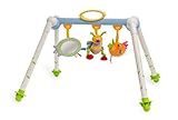 Taf Toys Take-to-Play Baby Gym by Taf Toys