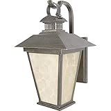 Quoizel DV8411HS Dover 16.5-Inch x 11-Inch 1 Light Outdoor Wall Fixture, Hearst Bronze [並行輸入品]
