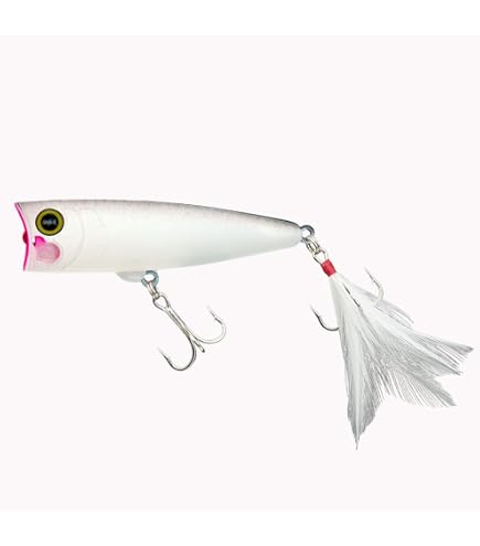 Amazon.co.jp: REVONIK（レヴォニック） VOLBEAT60S（ヴォル
