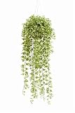 エメラルド 造花 観葉植物 アイビーブッシュ ハンギング 10.815C