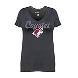 NHL Arizona Coyotes半袖VネックTシャツ、4 x、ブラック
