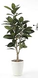 光触媒観葉植物 ゴムの木1.25〔フロアタイプ(ハイサイズ)〕フラワーアレンジメント インテリア 光触媒 花 スプレー インテリアグリーン 胡蝶蘭 消臭 大型