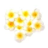 100個Foam Frangipani人工プルメリアフラワー花びらヘアキャップ帽子花輪花柄DIYブライダルウェディングデコレーション