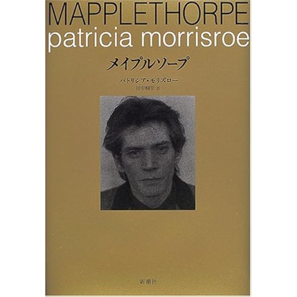 ロバート・メイプルソープ写真集 (PARCO Vision CONTEMPORARY