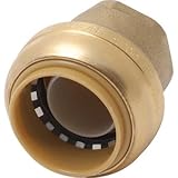 PROPLUS 262055 Spring Check Valve Pvc 1-1/4 Fip by Cash Acme