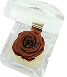 new！チョコレートローズ　ジュエリー【日本初＊ハートのユメ限定】プリザーブドフラワー花言葉「とろけるような恋♪」　ケース入り　チョコレートの香り付き　ホワイトデー　バレンタインデー　誕生日　記念日　