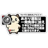SignStore カメラを構える猫の交通安全ステッカー 8cm×16cm ビニール 日本製 car_character_01 (通常B)