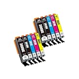 【pomme】 BCI-301+300/5MP 染料 お得な5色セット×2 キヤノン対応 互換インク 残量表示機能付 ISO14001/ISO9001認証工場 (BCI-300 BCI-301 BCI-301+300/5MP)