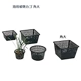 池用植物カゴ（角大）