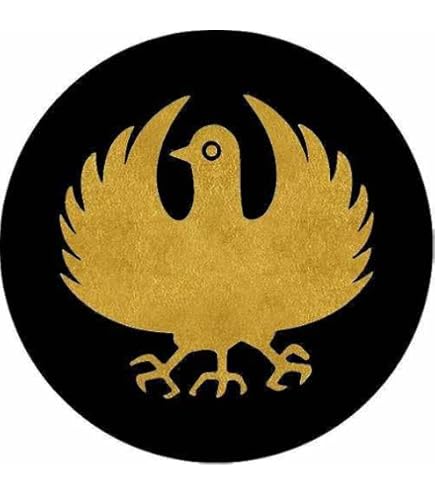 まさ丸様落札商品① 輪島塗 沈金稲穂 丸盆 983796: ヘルス・ビューティー