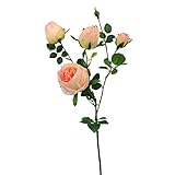 ローズスプレー×5 FXFR0018SAL