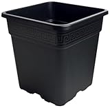 Premium Square Pot 18L (300×300×300mm) 10号鉢