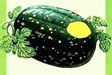 果皮に黄色い月、星の模様がある　アポロ スイカ　1粒