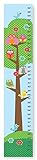 The Kids Room By Stupell Growth Chart, Whimsical Owls In Tree [並行輸入品]