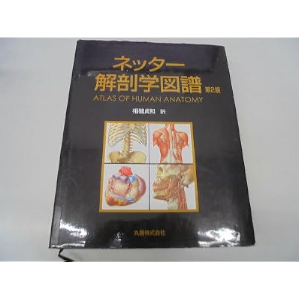 はちゃんさん専用 解剖学 2冊セット ネッター グレイ 解剖アトラスを買う / Anatomy 今日も明日も/解剖アトラスを買う
