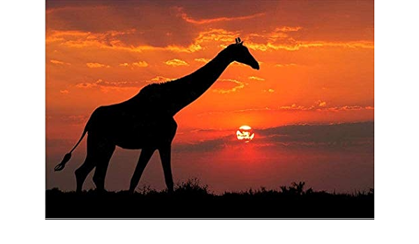 Amazon Co Jp 大人のギフトのためのジグソーパズルpuzzle1000小品キリン動物の大人の木製ジグソーパズルキリンパズルキット学習早期教育玩具 おもちゃ