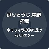 ネモフィラの咲く丘で/シルエット