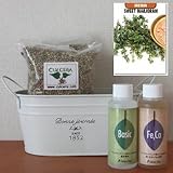 スイートマジョラムの栽培セット/豊作セット（液体肥料付き）プランターホワイト仕様