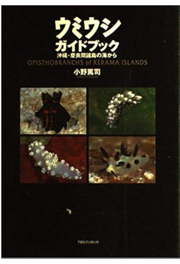 沖縄のウミウシ: 沖縄本島から八重山諸島まで | 小野 篤司, 中野 理枝