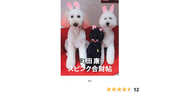 スピンク合財帖 町田 康 本 通販 Amazon