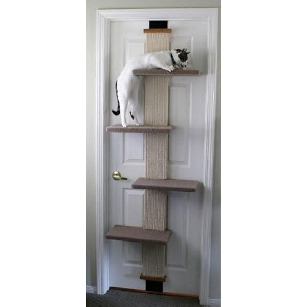 smartcat cat climber