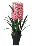 アートフラワー造花・シンピジューム直立・光触媒品