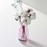 【Blooming＆me】フラワーデザイナーおすすめ おしゃれ度UP！ドライフラワー コットンフラワー 綿花＆かすみ草＋カラー瓶SET (透明) [並行輸入品]