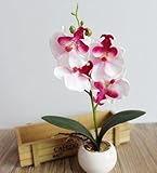 NIUA 胡蝶蘭 優雅で高貴な胡蝶蘭 鉢植　雑貨 造花 人工観葉植物 鉢植え造花 樹脂鉢 手芸 綺麗 枯れない スーツ 家庭装飾品 お誕生日 お祝い ギフト インテリア (白ピンク)