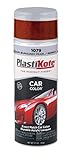 PlastiKote 1079 Nissan Burgundy Pearl and Berry Metallic Automotive Touch-Up Paint - 11 oz. [並行輸入品]
