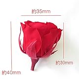 プリザーブドフラワー 花材 バラ 赤 レッド 8輪入り