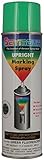 Seymour 20-1768 Stripe Upright Water Base Marking Paint, Green Fluorescent [並行輸入品]