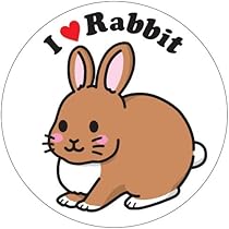 41q8KGUhpOL._AC_UL210_SR210,