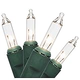 Brite Star 100 Count Professional Series Lights with Green Wire, Mini, Clear [並行輸入品]