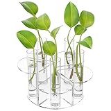 NIUBEEの屋内植物繁殖ステーション。