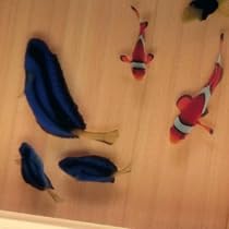 カクレクマノミ　金魚アート 枡 51HUCt2aXlL._UF350,350_QL80_.jpg