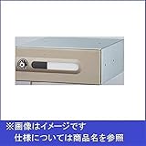 新協和　MAIL BOX　ダイヤル錠　SMP-21N-FR　【郵便受箱】 ライトゴールド