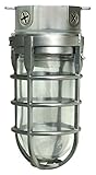 Woods L1706BS Traditional 100W Incandescent Weather Industrial Light, Ceiling Mount, Brushed Steel [