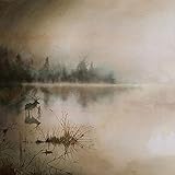 Berdreyminn -Box Set-