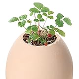 Zhaozhe人工観葉植物 鉢植え 卵鉢植え インテリア 飾り デコレーション 枯れない 手作り 本物そっくり 誕生日 ギフト 贈り物