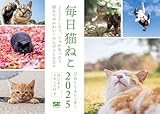 毎日猫ねこ 日めくりカレンダー 2025 (翔泳社カレンダー)