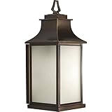 Progress Lighting P5954-108 Salute Outdoor Sconce [並行輸入品]