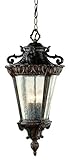 Trans Globe Lighting 4843 PA 4-Light Hanging Lantern, Patina [並行輸入品]