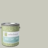 Inspired Eggshell Interior Paint, Stone .04, Gallon [並行輸入品]