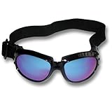 ArcOne G-ACT-B1204-10 Action Safety Goggles (10 Pack) by ArcOne
