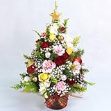 クリスマス・ツリー　【お届け日12/2～25 花 ギフト 誕生日 クリスマス】