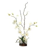 Vickerman AZF10022 Orchid in Acrylic Water Artificial Plant, White/Pink/Green, 38-Inch [並行輸入品]