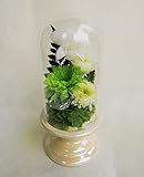 白いデンファレとグリーンの小菊 プリザーブドフラワー お仏壇 お供え アレンジ ギフト