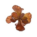 GRALARA人工多肉植物　観葉植物　インテリア・装飾　茶色