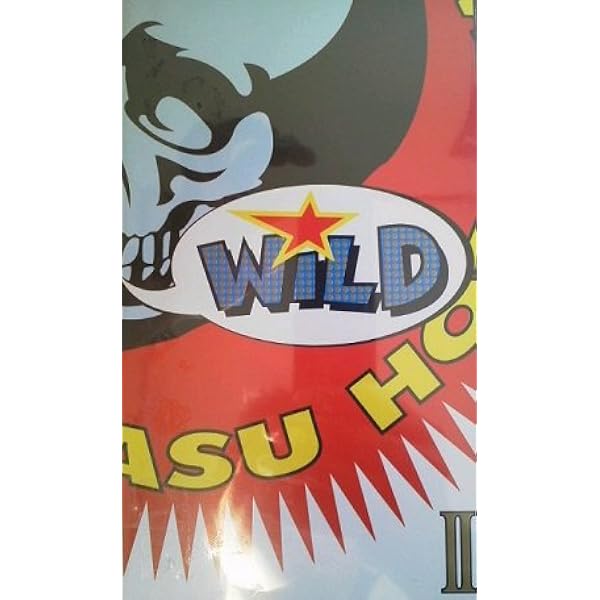 Amazon.co.jp: GUITARHYTHM WILD II [DVD] : 布袋寅泰, 布袋寅泰: DVD